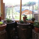 뒷골옛집 이미지