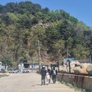 그늘막49 이미지