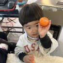박씨네 농장 네이버블로그
