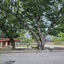 다섯콩초가집민박 | 전남 순천 낙안읍성 초가집 민박 다섯콩민박