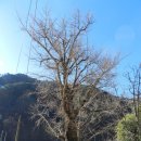 오저1리 이미지