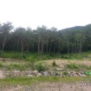 신림4마을 이미지