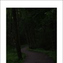 덕유대야영장 이미지