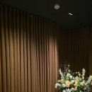 미다모아 이미지