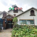 기배로 | 융건릉 맛집 기안말 산삼 삼계탕 솔직 후기