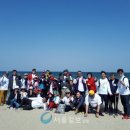소풍 서울일보
