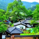 남사예담촌마을 이미지