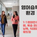일라영어학원 네이버블로그