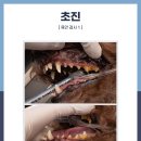 고척 원 동물의료센터 이미지