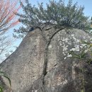 남해-195 이미지