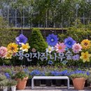 자작나무관광농원