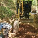 봉성산 공원 이미지