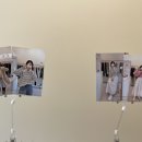 샤크존 이미지