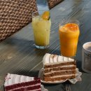 캣돌 캐터리 이미지