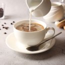 223더 4893 이미지