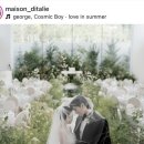 그린카센타 | #3 웨딩베뉴 - D-Day 메종디탈리 본식 후기