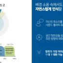 카페세린