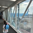 1264 | 제주→서울 대한항공 KE1264(A321-200) 탑승 후기