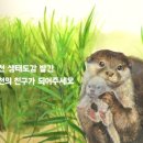 색연필 식물 세밀화 이미지