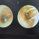 복음보청기 성남센터 이미지