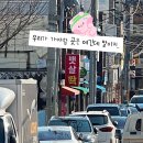 고성한의원 | 봄이 너무너무너무 좋은 사람 (나만 재밌는 일상, 하나요☝️)