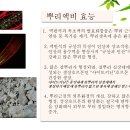 (번역)건강한 토양, 고품질, 다수확을 위한 미네랄 MINERALS FOR "뿌리액비" 이미지