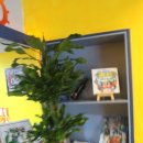 꽃게가찜했어 | 쌍용동해물탕의 절대강자 이제는 볶음밥이다!