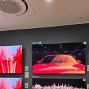 롯데하이마트 잠실점 | 잠실 롯데하이마트 리뉴얼 광세일! 삼성 OLED TV 77인치 득템