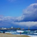 인호농장 이미지