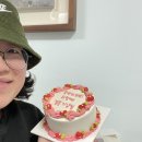 마이비올레타