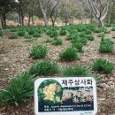 야생화정원팬션민박