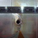 SPACE BODY 이미지