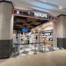 몰리스펫샵 스타필드시티 위례점 이미지