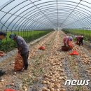 대산파출소 이미지