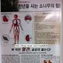 빛과솔