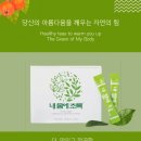 내몸에 초록