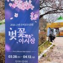 호수공원수변공원축제용 | 군산 은파호수공원 야시장 벚꽃 축제 일정 주차 및 벚꽃 개화 정보