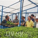 산림조합중앙회강릉교육원