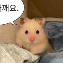 다잇서