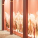 서초중앙로31길 6-11 이미지