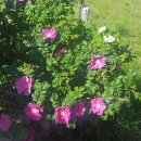 신광축산2 이미지