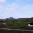 선양 목장 이미지