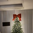 사우스사계 이미지