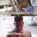 라니투어 이미지