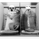 포옹-HUG 이미지