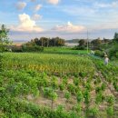 명재농장 이미지