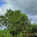 초연스테이 이미지