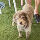 (주)리얼리티랩 이미지