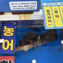 감포횟집 | [경북 경주] 싱싱한 회와 푸짐한 해산물이 가득한 경주 감포 횟집, <부부수산> 방문 후기 🐟