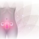 대하의원 이미지